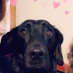 Meet your Posher, Teresa